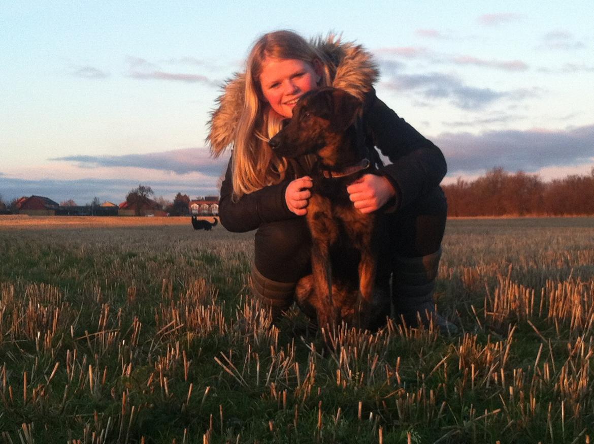 Blanding af racer Jennifer  billede 13