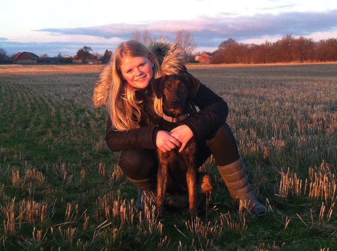 Blanding af racer Jennifer  billede 14