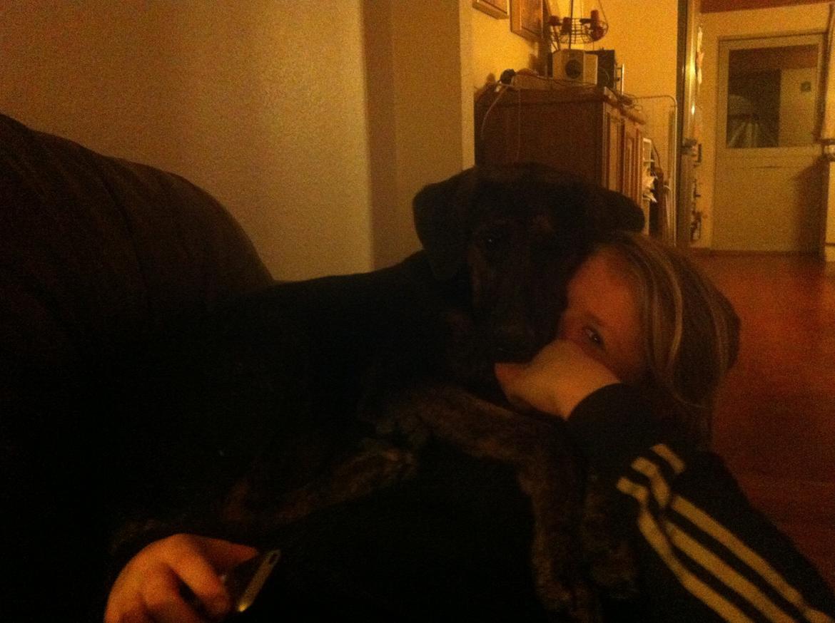 Blanding af racer Jennifer  billede 15