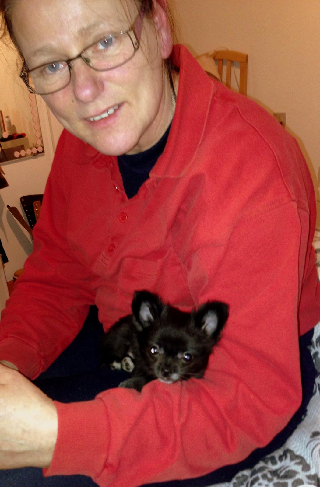 Blanding af racer Armani billede 5