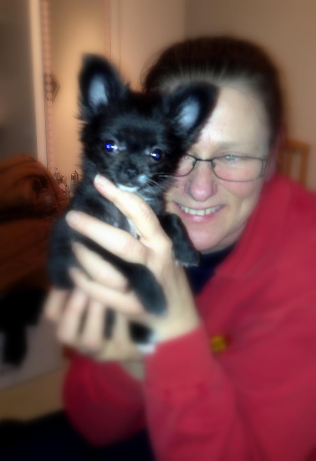 Blanding af racer Armani billede 8