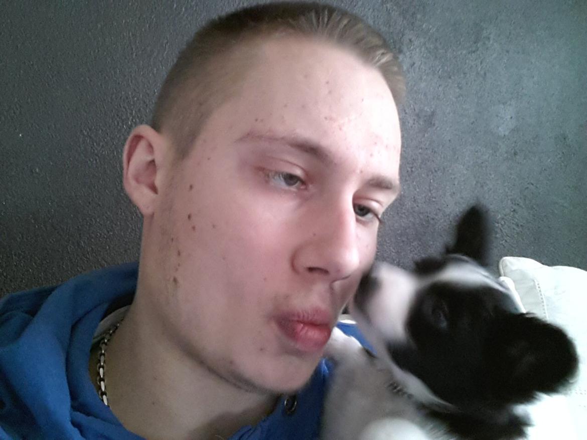 Blanding af racer Kani - gir lig far en mysser billede 13