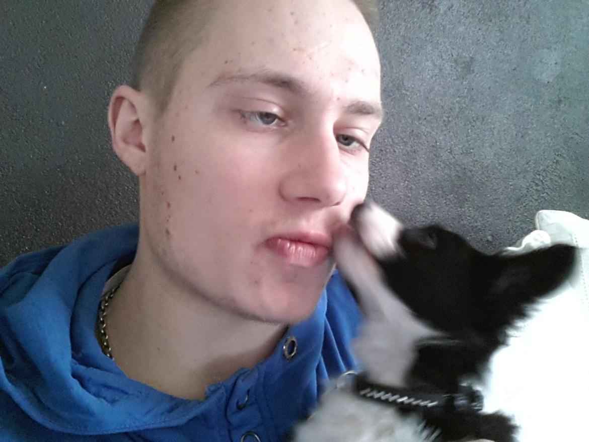 Blanding af racer Kani billede 14