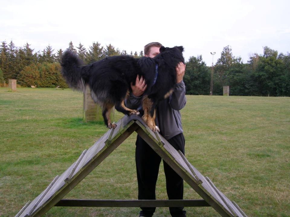 Blanding af racer Moe billede 3