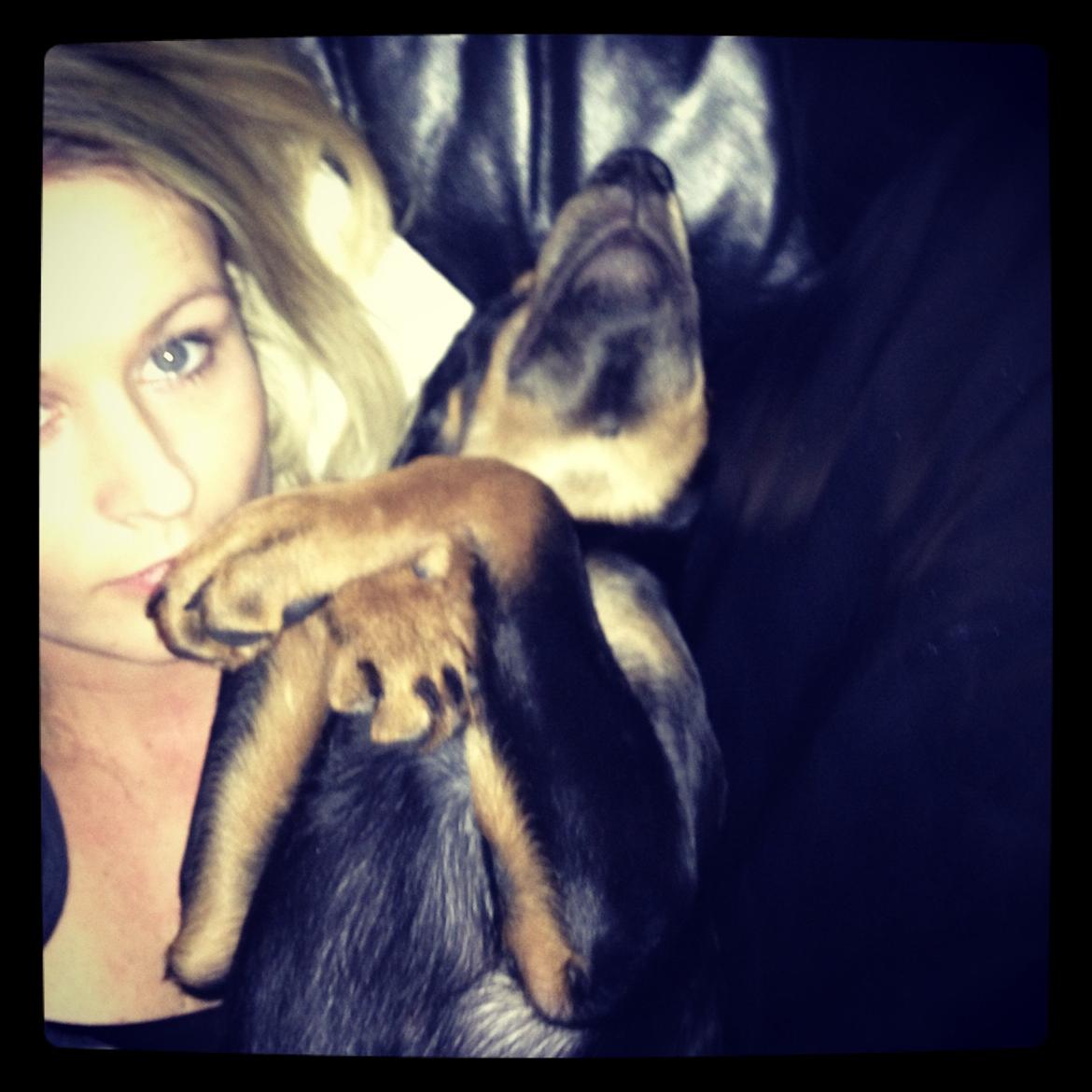 Blanding af racer Luna billede 3