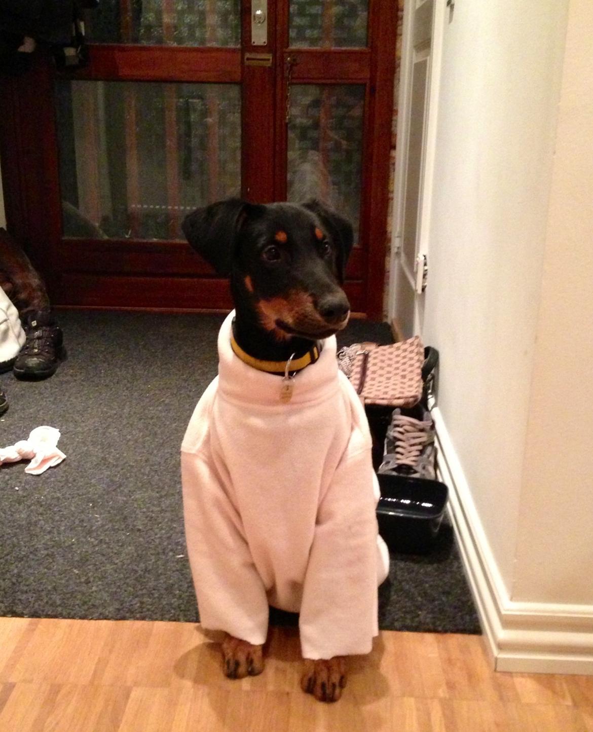 Blanding af racer Luna billede 4