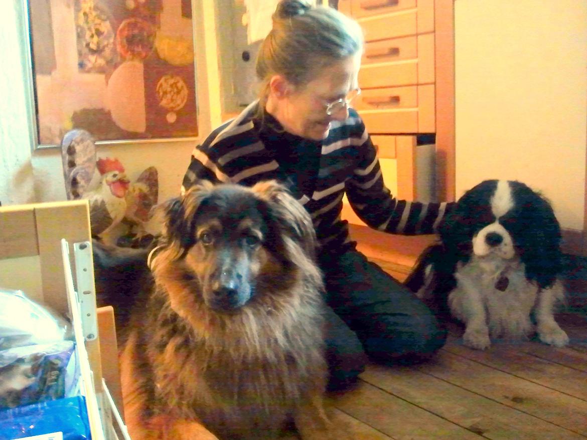 Blanding af racer Valter - Valter og to af hans andre venner :-) billede 8