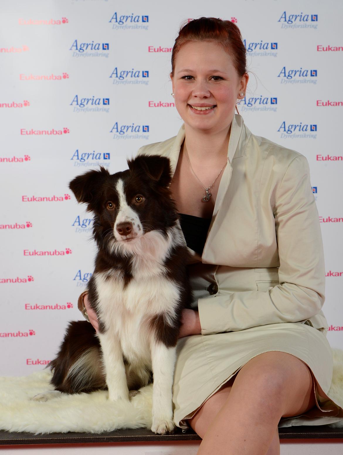 Border collie Kian Star Klaudia - BIR.hvalp i Fredericia :) <3 billede 1