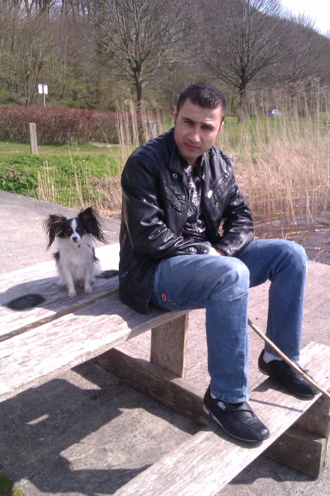 Papillon Chiantie *Prinsessen* billede 25