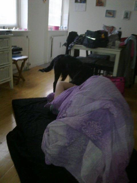 Blanding af racer Villads - Nanna, du skal op nu!! Jeg skal tisse!! billede 3