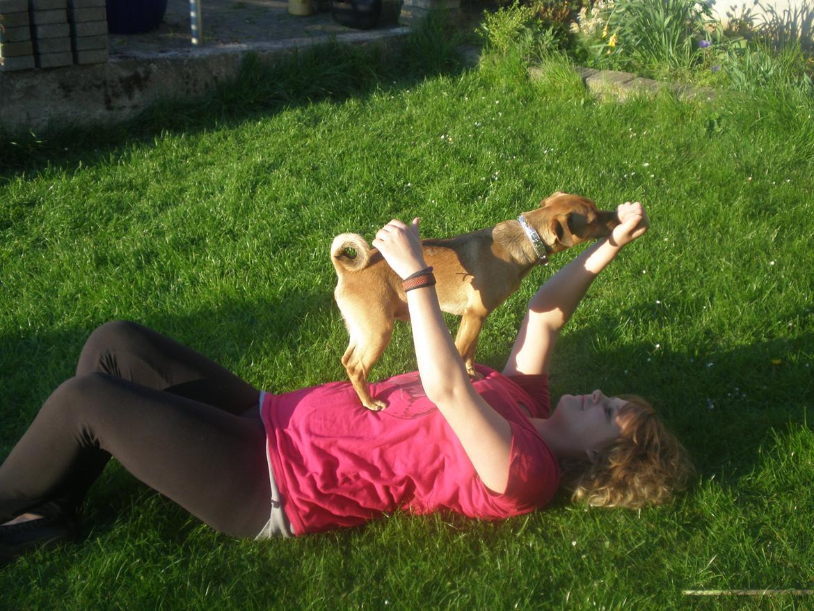 Blanding af racer Anton - Samme dag vi fik ham billede 1