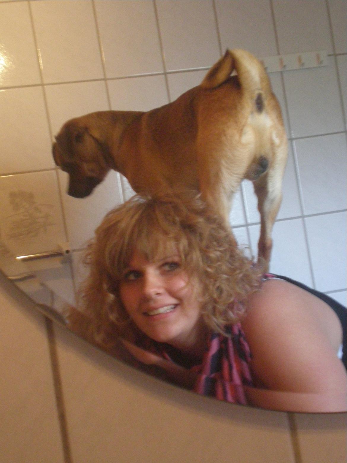 Blanding af racer Anton - Klatrehund billede 10