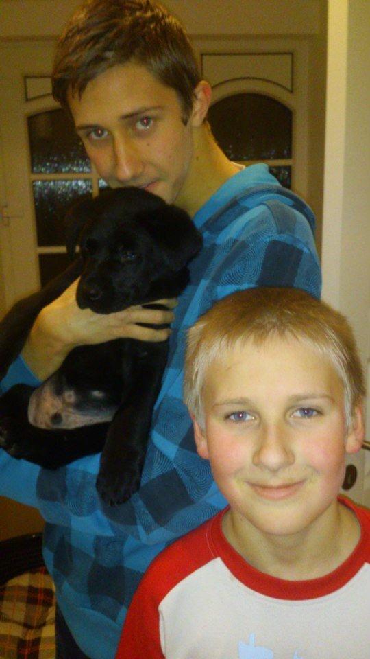 Labrador retriever Blackie "solgt d. 28/02 - 2013" - Dengang Blackie var helt lille<3 billede 13