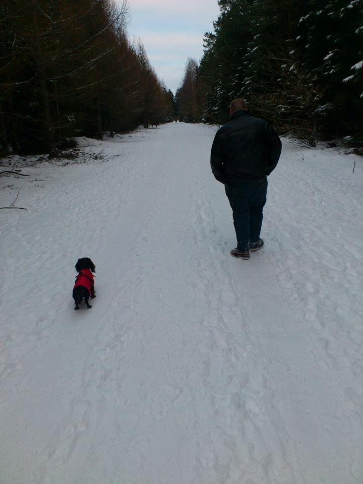 Dværggravhund Zenta - På skovtur, det er så hyggeligt sammen med min far :-) billede 6