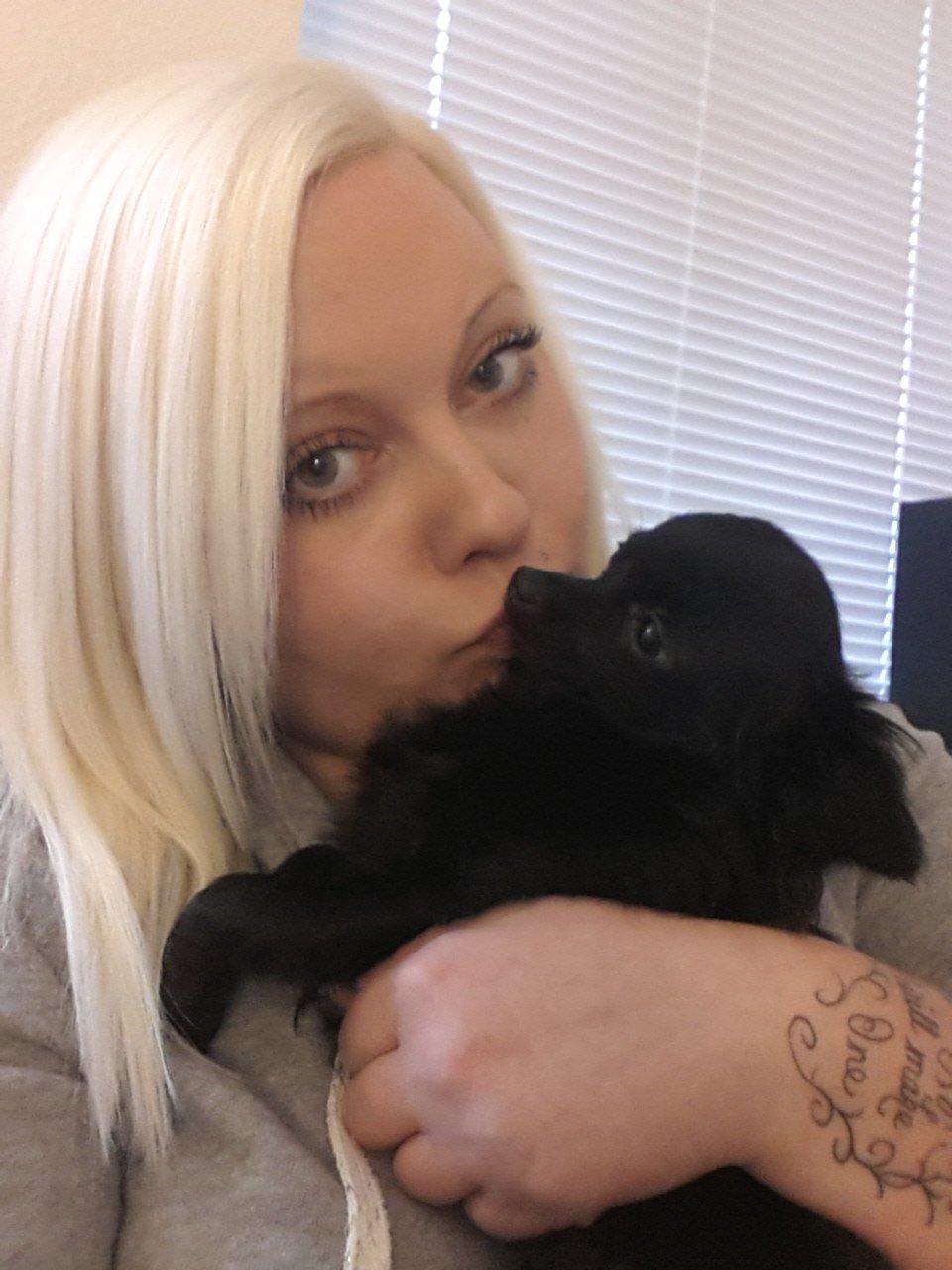 Chihuahua Baby Kitty - Baby og jeg billede 17