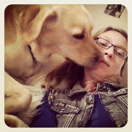 Labrador retriever Fie billede 1