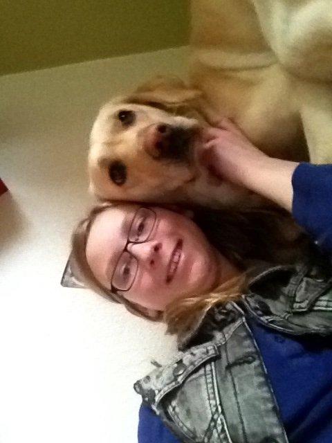 Labrador retriever Fie billede 11