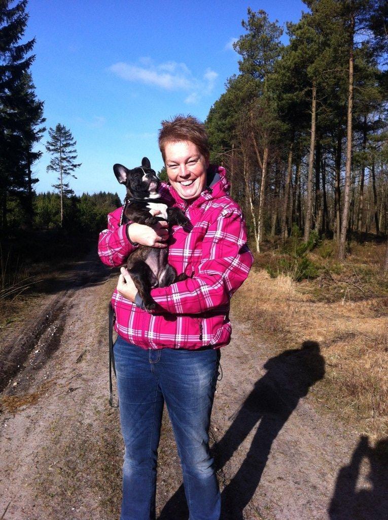 Fransk bulldog Bea billede 8