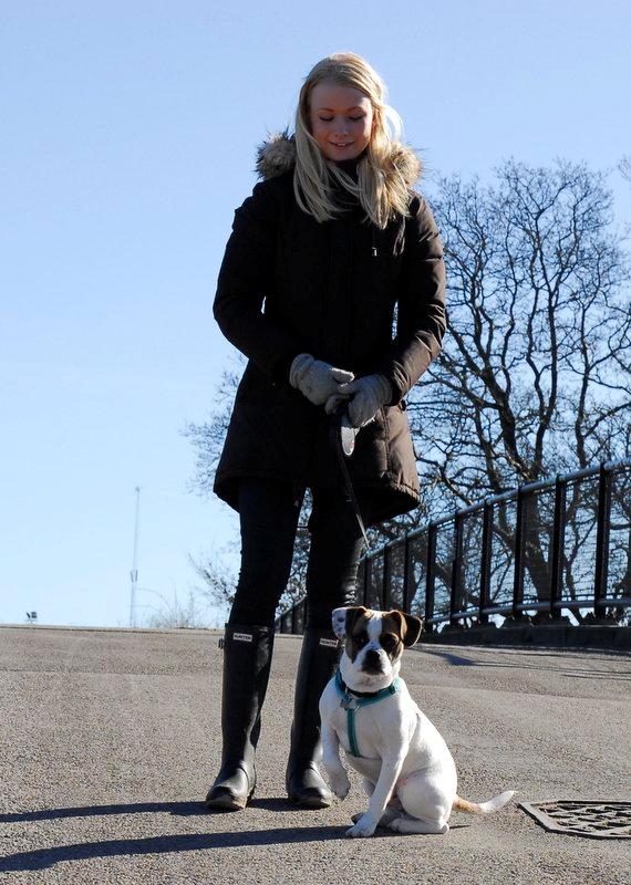 Blanding af racer Milo - Fransk Bulldog, DS gårdhund/mops - Milo 6 måneder billede 17