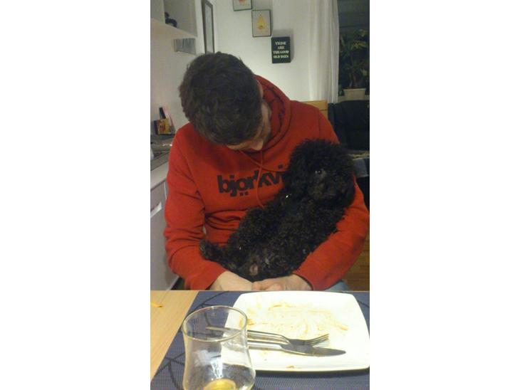 {{currentPhoto.altText}} billede {{currentPhoto.number}}