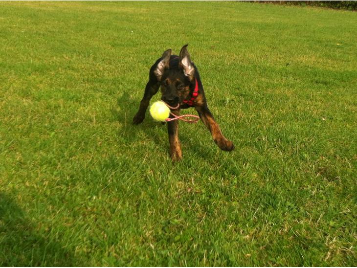 {{currentPhoto.altText}} billede {{currentPhoto.number}}