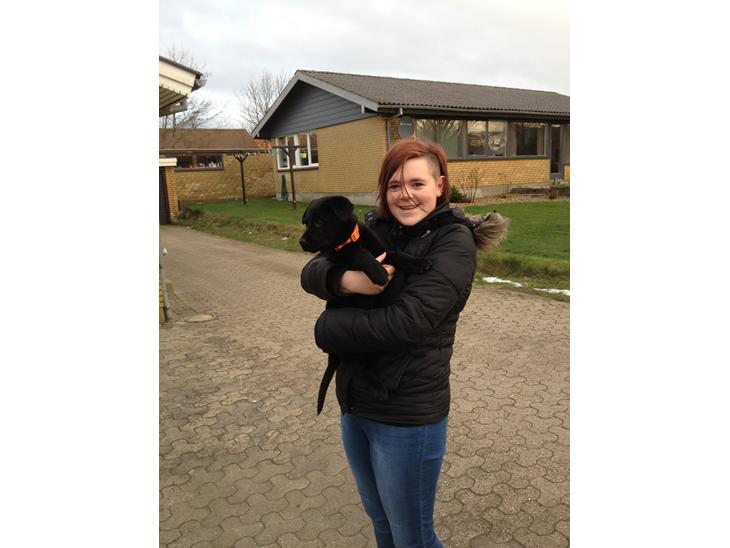 {{currentPhoto.altText}} billede {{currentPhoto.number}}