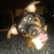 Blanding af racer Saga