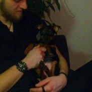 Blanding af racer Saga