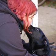 Blanding af racer Balue