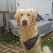 Blanding af racer O´Malley