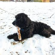 Blanding af racer Changa