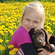 Labrador retriever Fr. Jensen