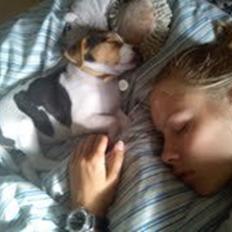 Dansk svensk gaardhund Nanna