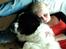 Newfoundlænder Moonshine lover's Zip Code Zhila