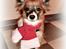 Papillon Toffy