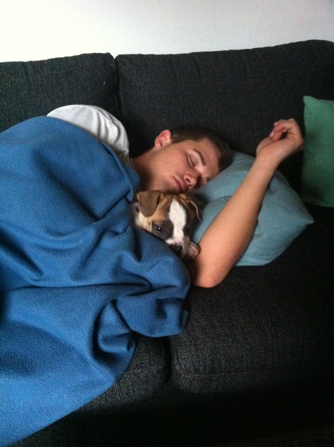 Blanding af racer Ollie billede 9