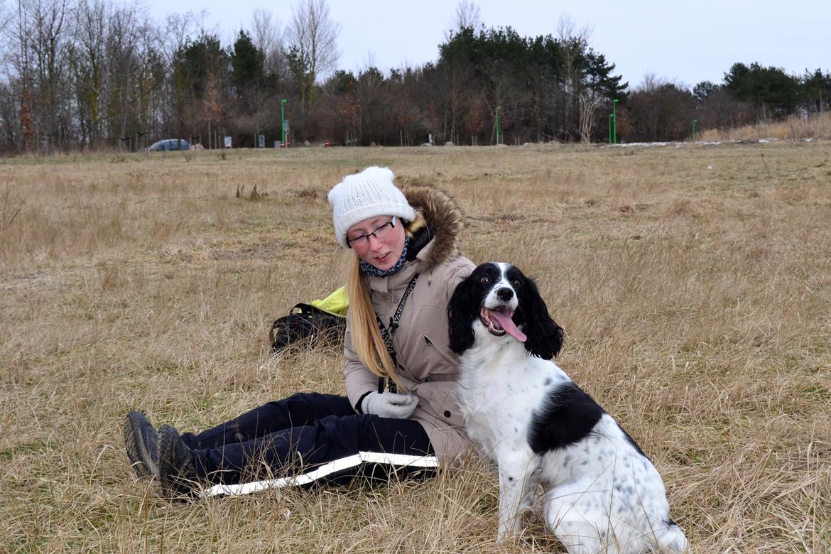 Field Trial spaniel Sif billede 19