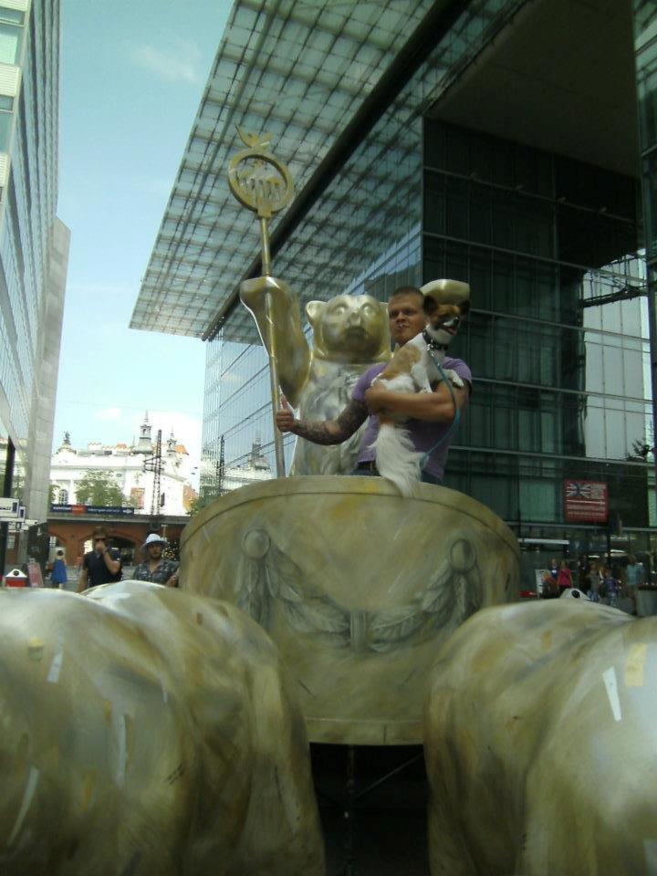 Papillon Toffy billede 8