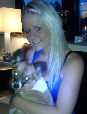 Papillon Toffy billede 6