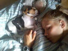 Dansk svensk gaardhund Nanna - En stor pige og en lille pige billede 1