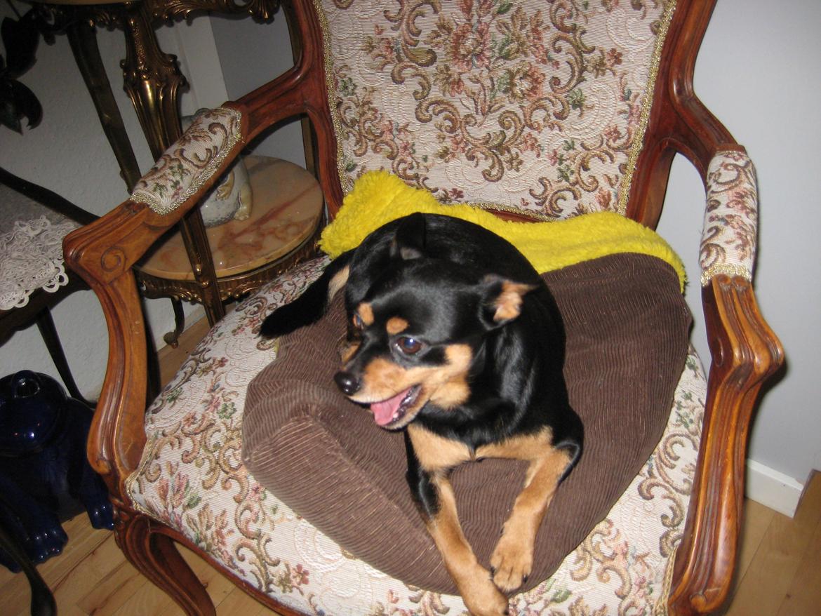 Blanding af racer Tarzan billede 3