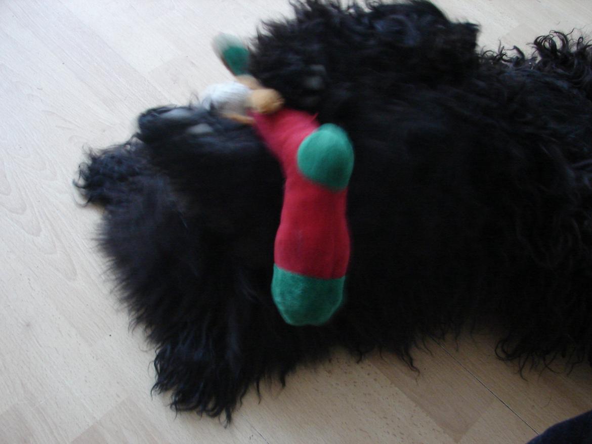 Puli Gaia - I love toys. billede 7