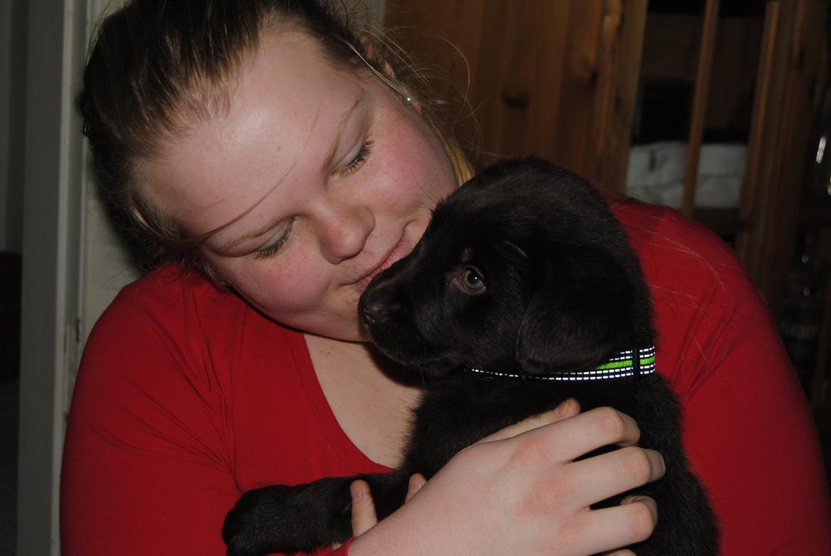 Blanding af racer Basse - Basse og jeg <3 billede 14