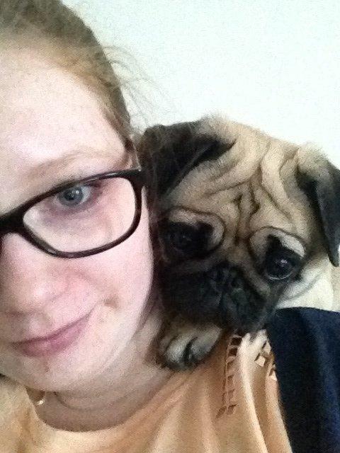 Mops Lotti billede 10