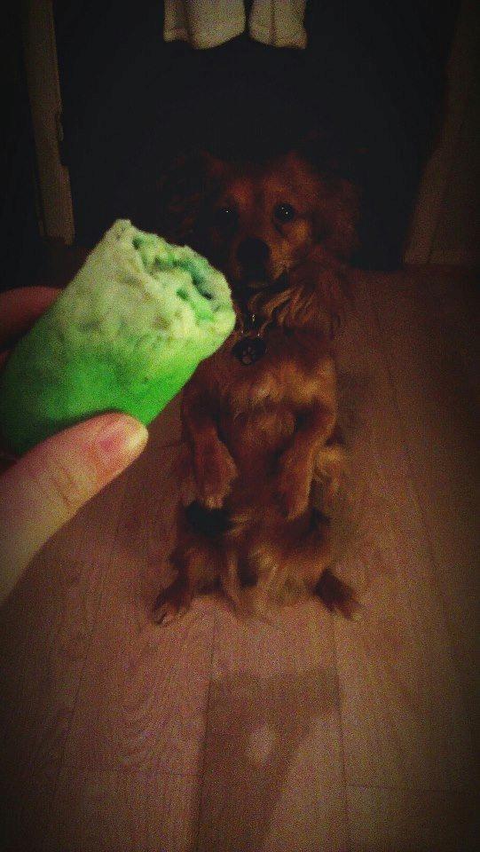 Blanding af racer Loui aka Louise billede 3