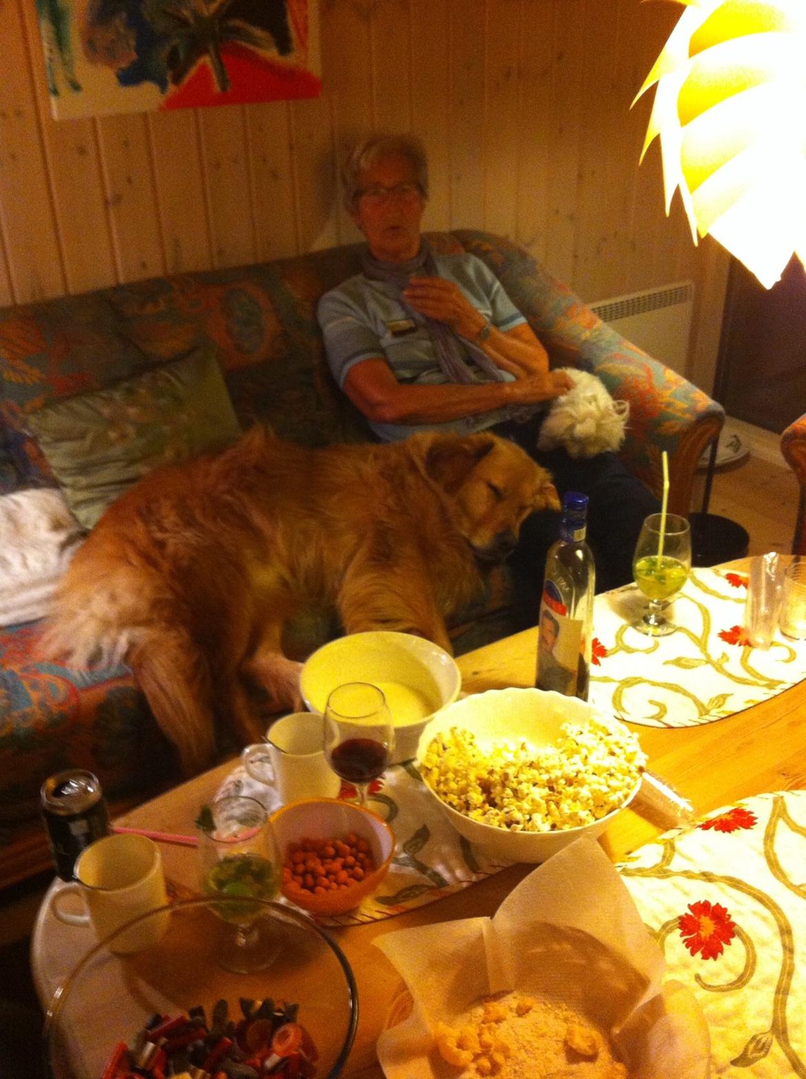 Blanding af racer Olsen billede 5