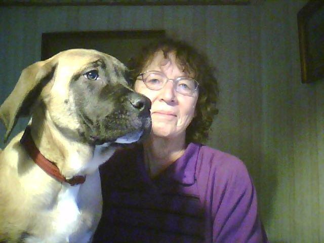 Mastiff Cleo - Mors kælepotte billede 4