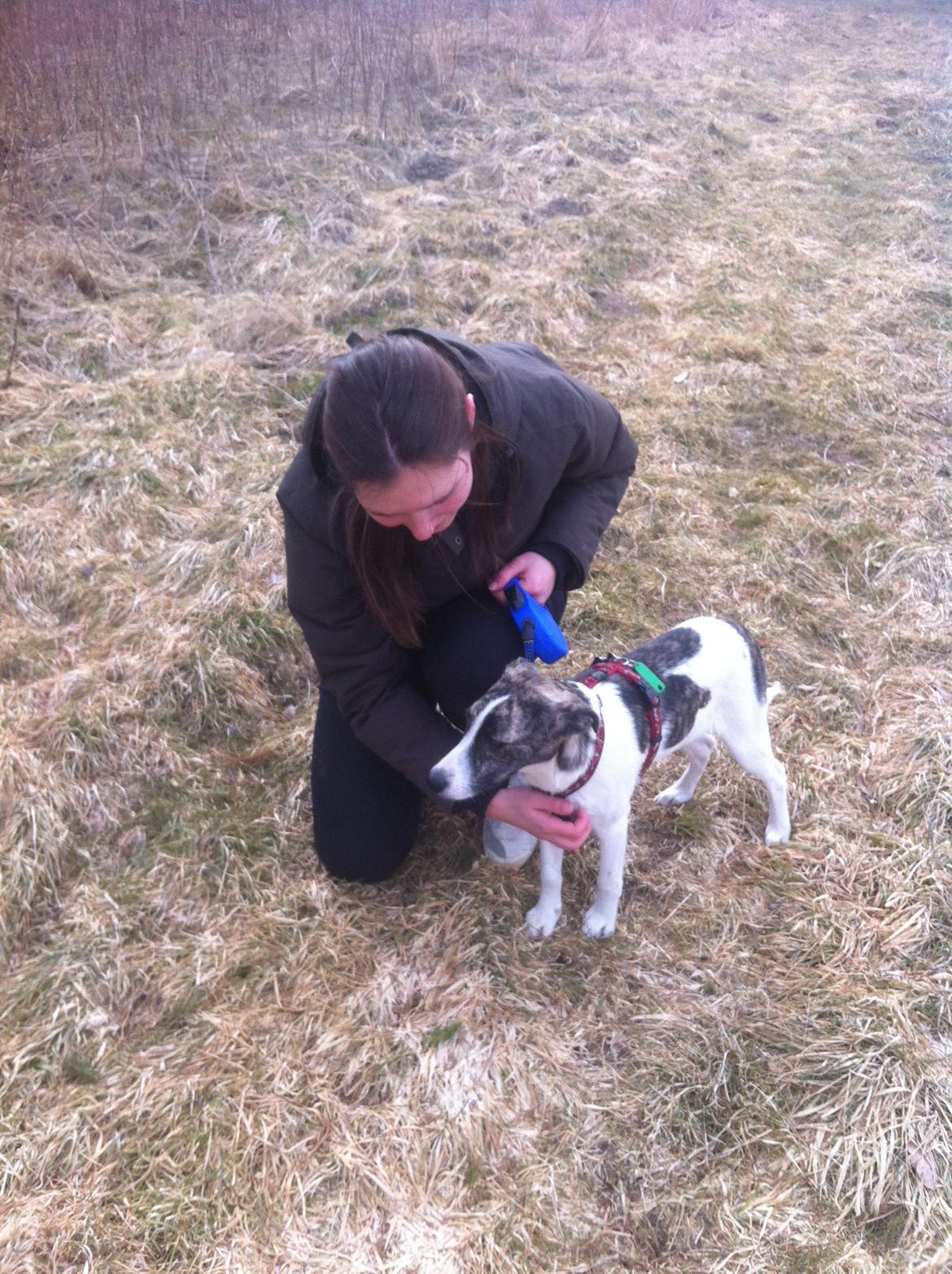 Blanding af racer Felix billede 4