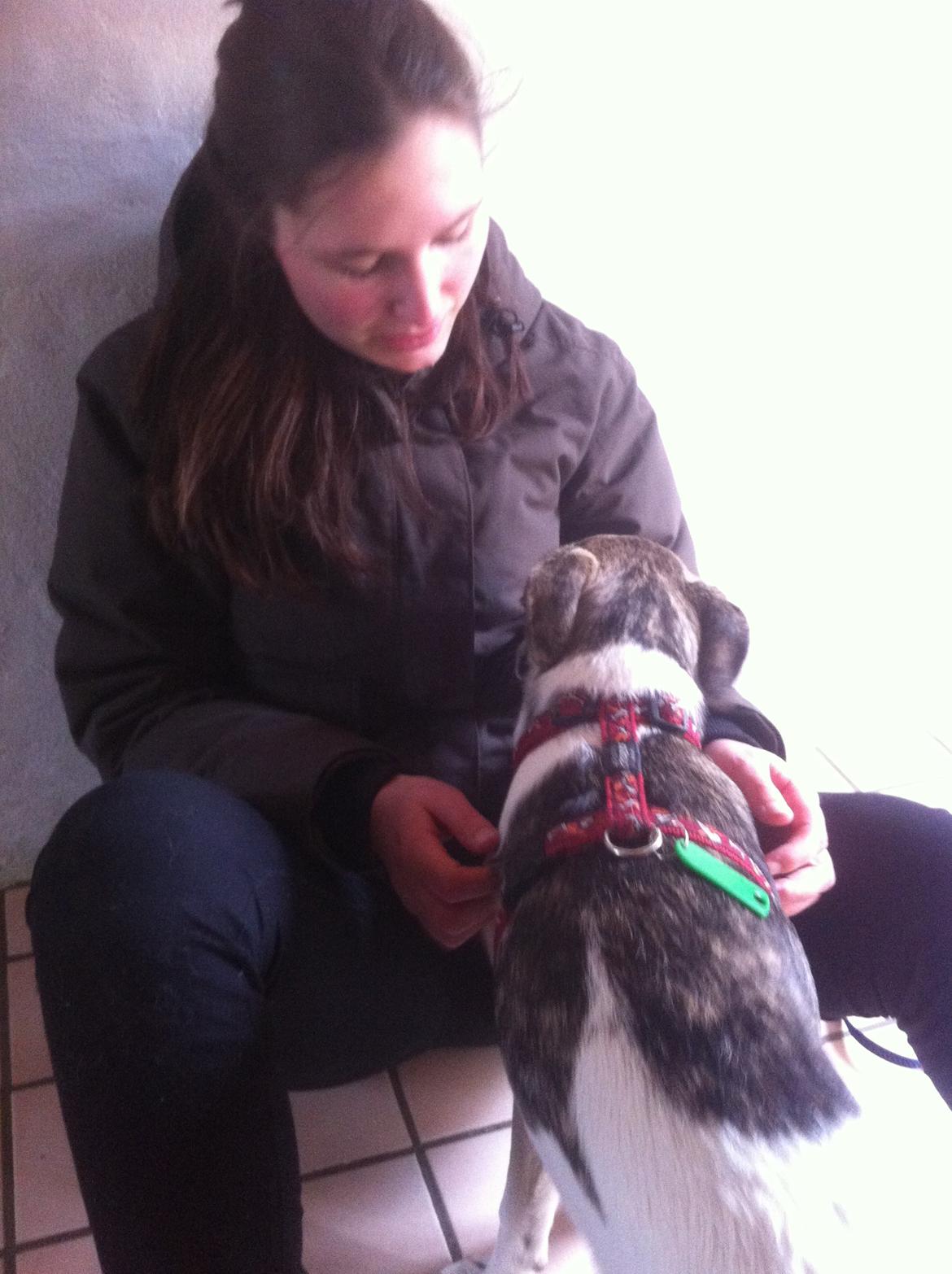 Blanding af racer Felix billede 6