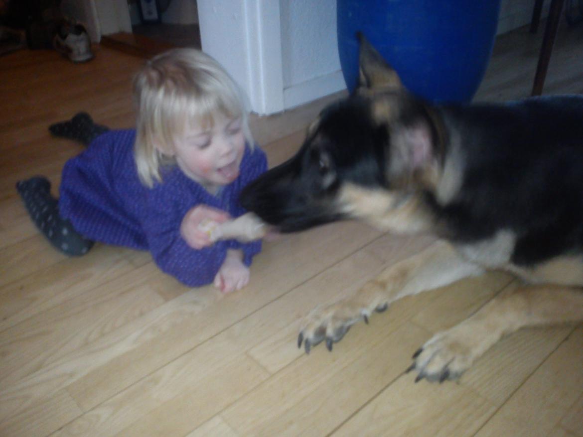 Blanding af racer Lex - Min søster på 3 og lex<3 billede 19